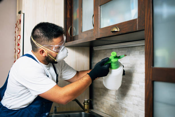 Best Residential Pest Control  in USA